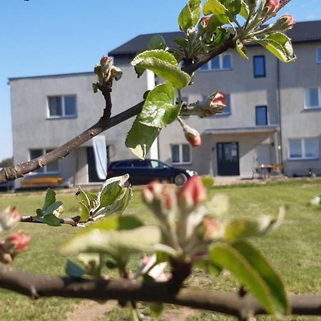 Noclegi Nad Biebrza Stara Szkola Wrocen Екстер'єр фото